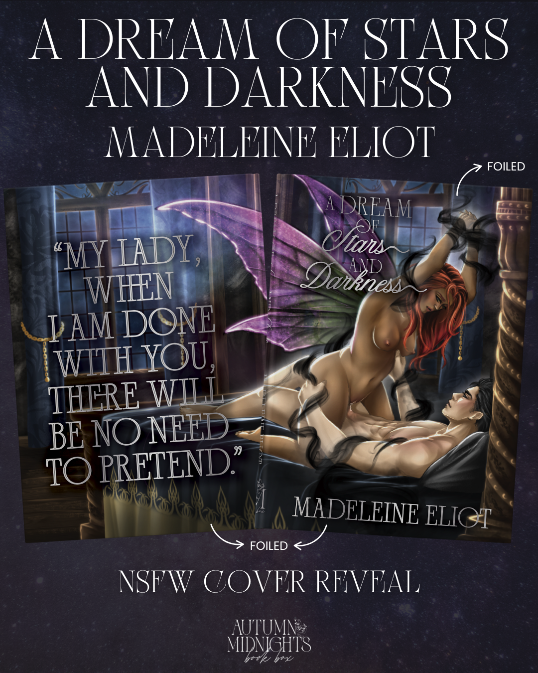 A Dream of Stars and Darkness by Madeleine Eliot