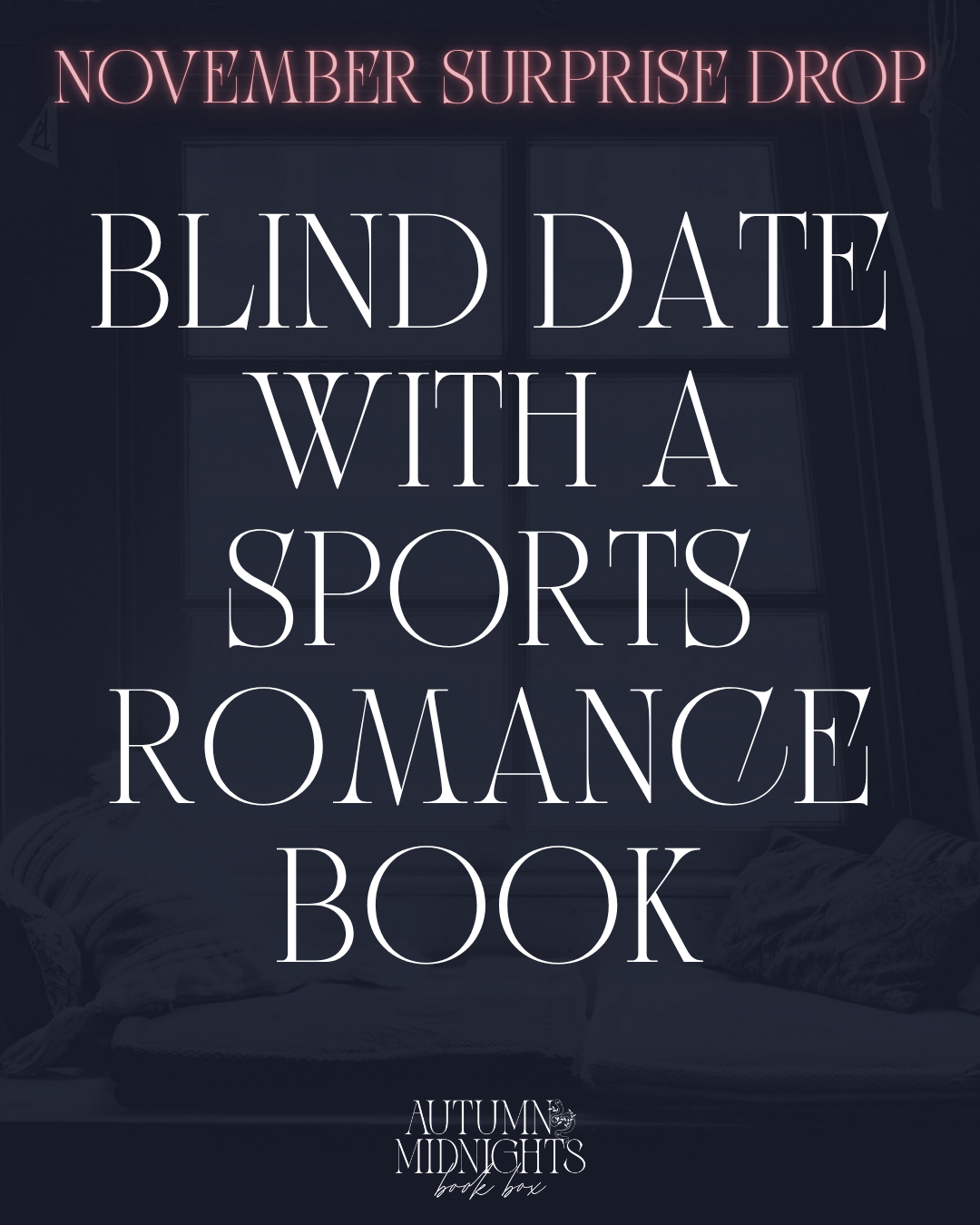 Blind Date With a Book - Nov 2025