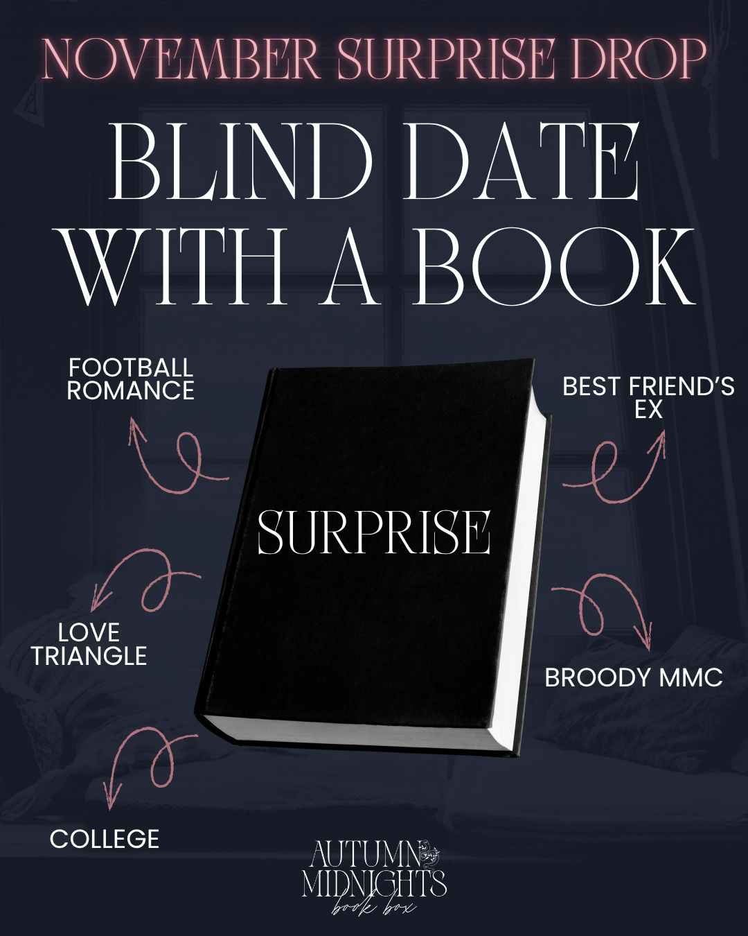 Blind Date With a Book - Nov 2025