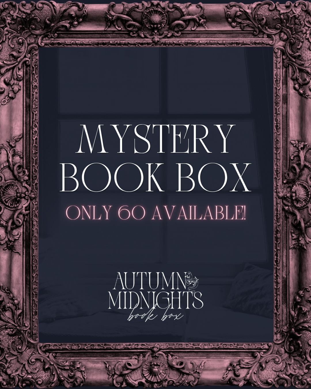 Mystery Book Boxes